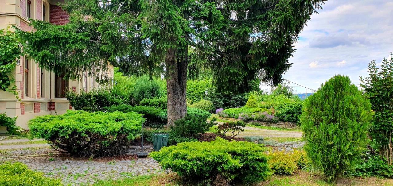 Villa Kliche Przerzeczyn-Zdroj Exteriér fotografie