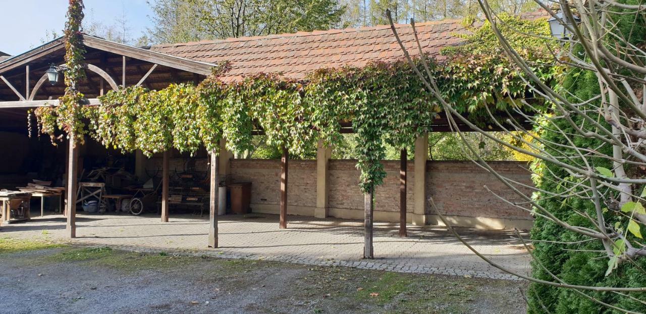 Villa Kliche Przerzeczyn-Zdroj Exteriér fotografie