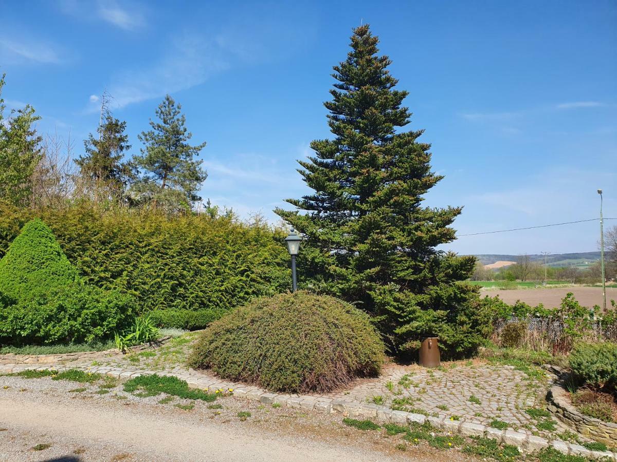 Villa Kliche Przerzeczyn-Zdroj Exteriér fotografie